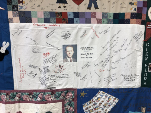 Quilt panel detail